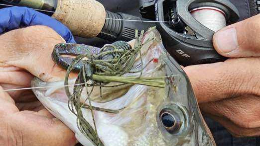 Build Your Own Jigs Are Now Live at Trixster Custom Baits