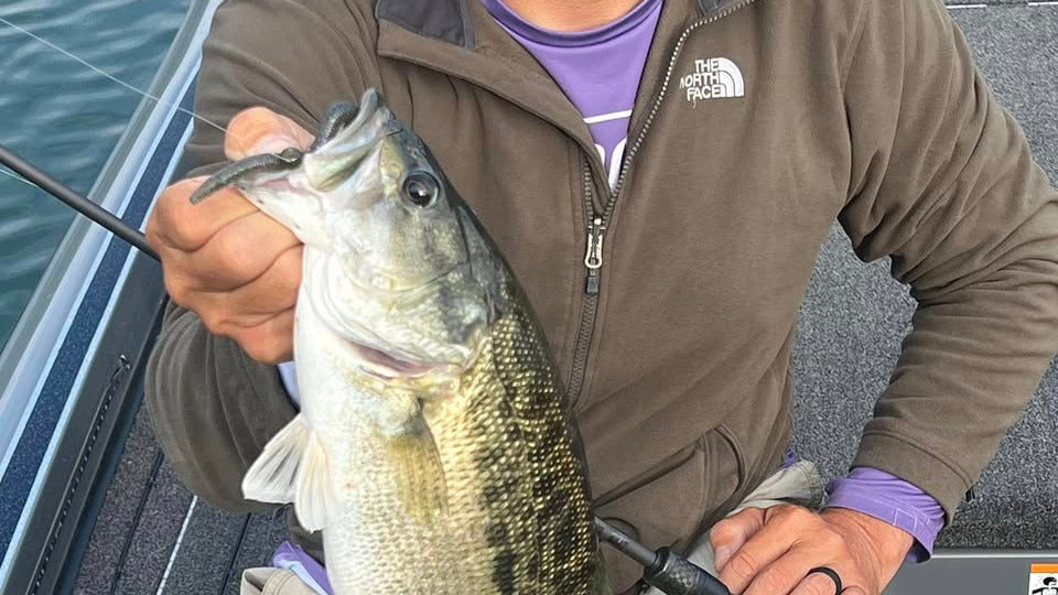 Numbers and Bites on Lake Sinclair in Late March