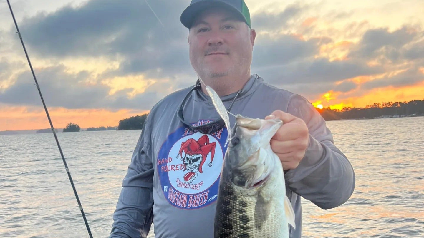 Minnows and Baitfish