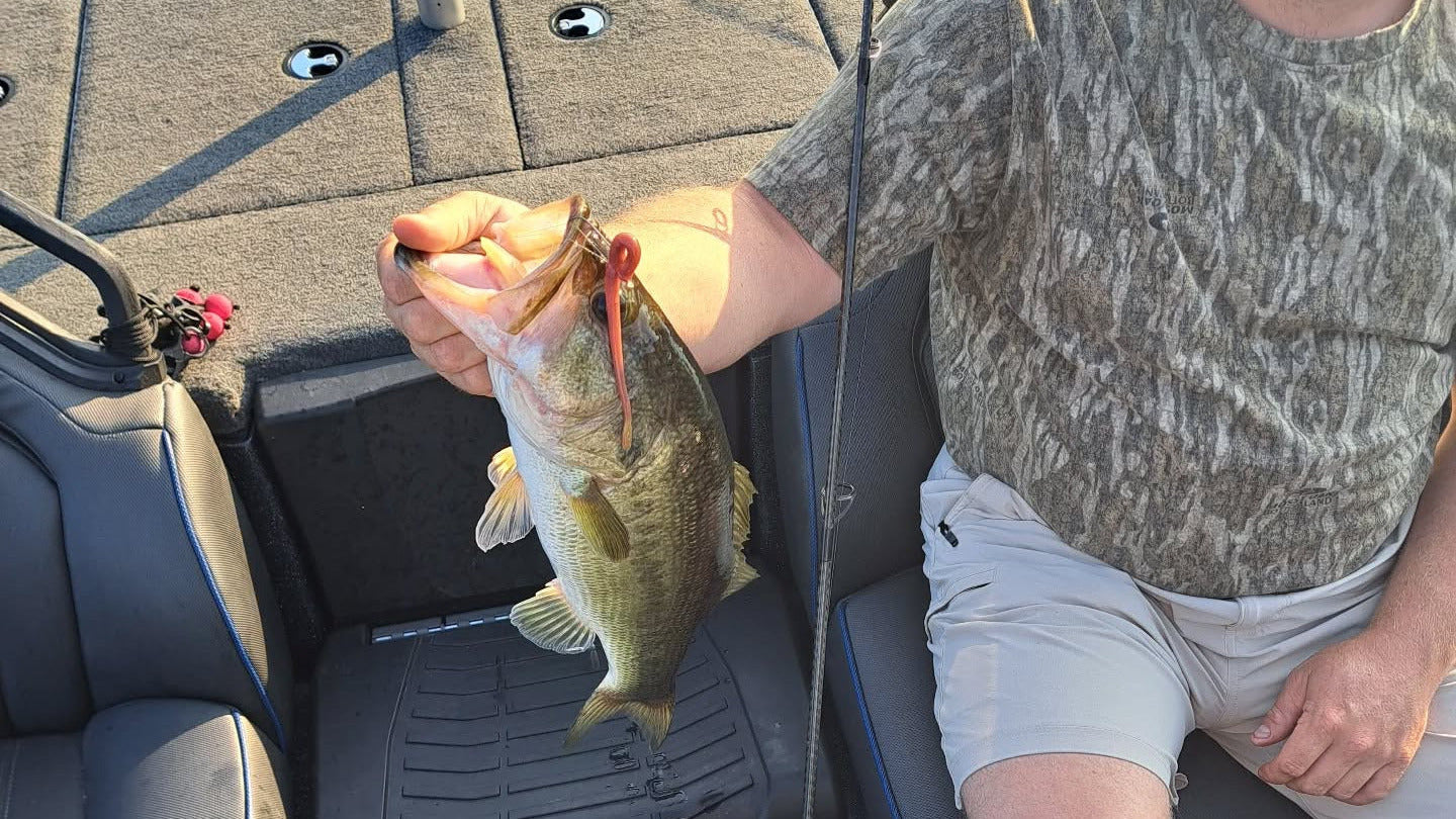 Worms and Stick Baits