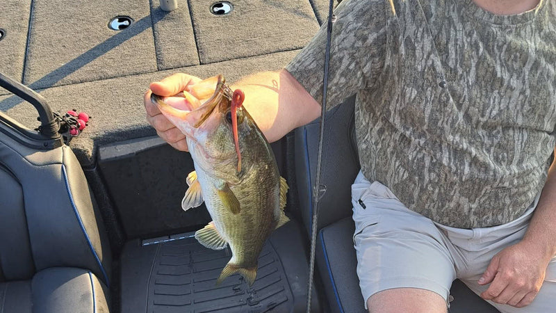 Worms and Stick Baits