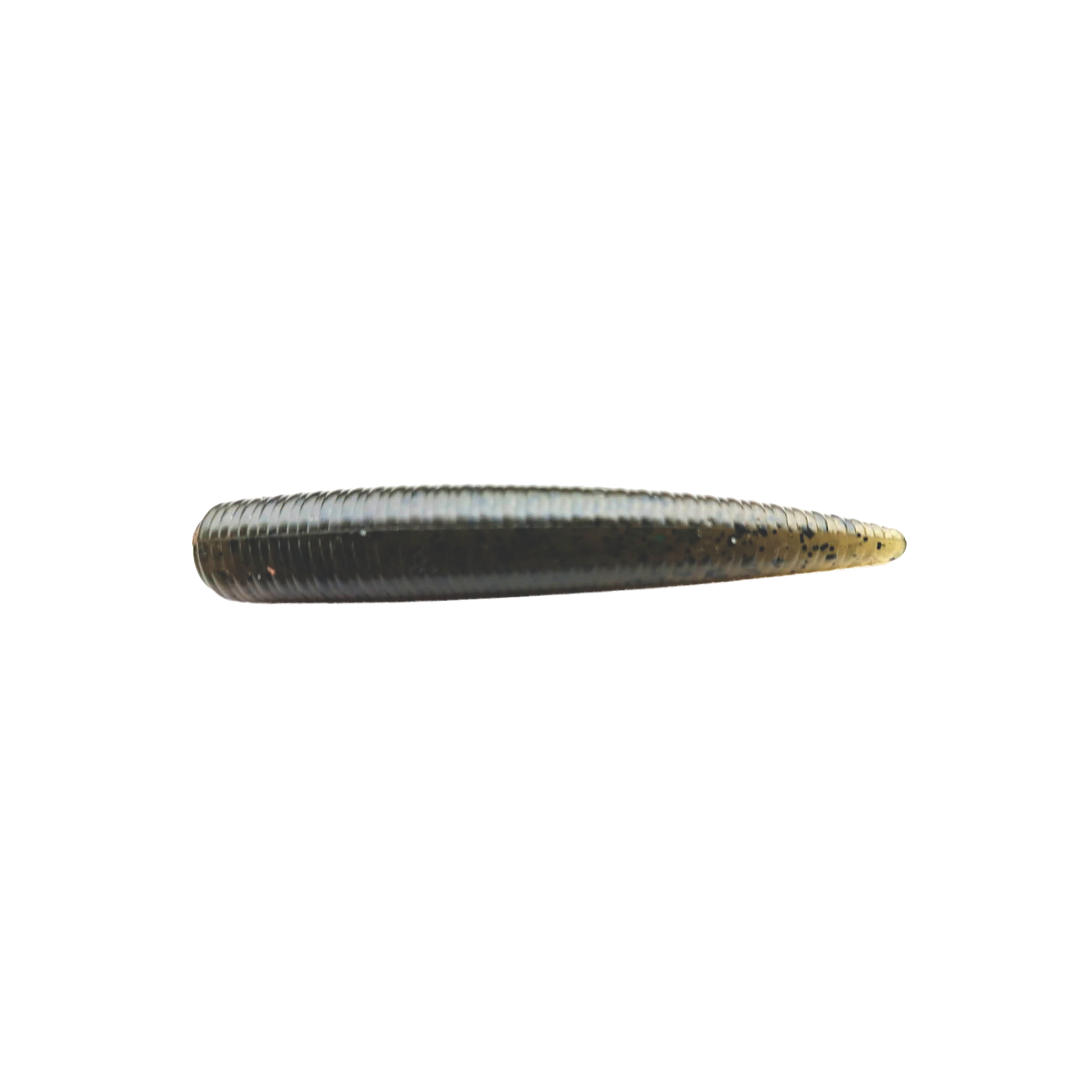Dinky 2.5" Ned Worm (8 Pack)